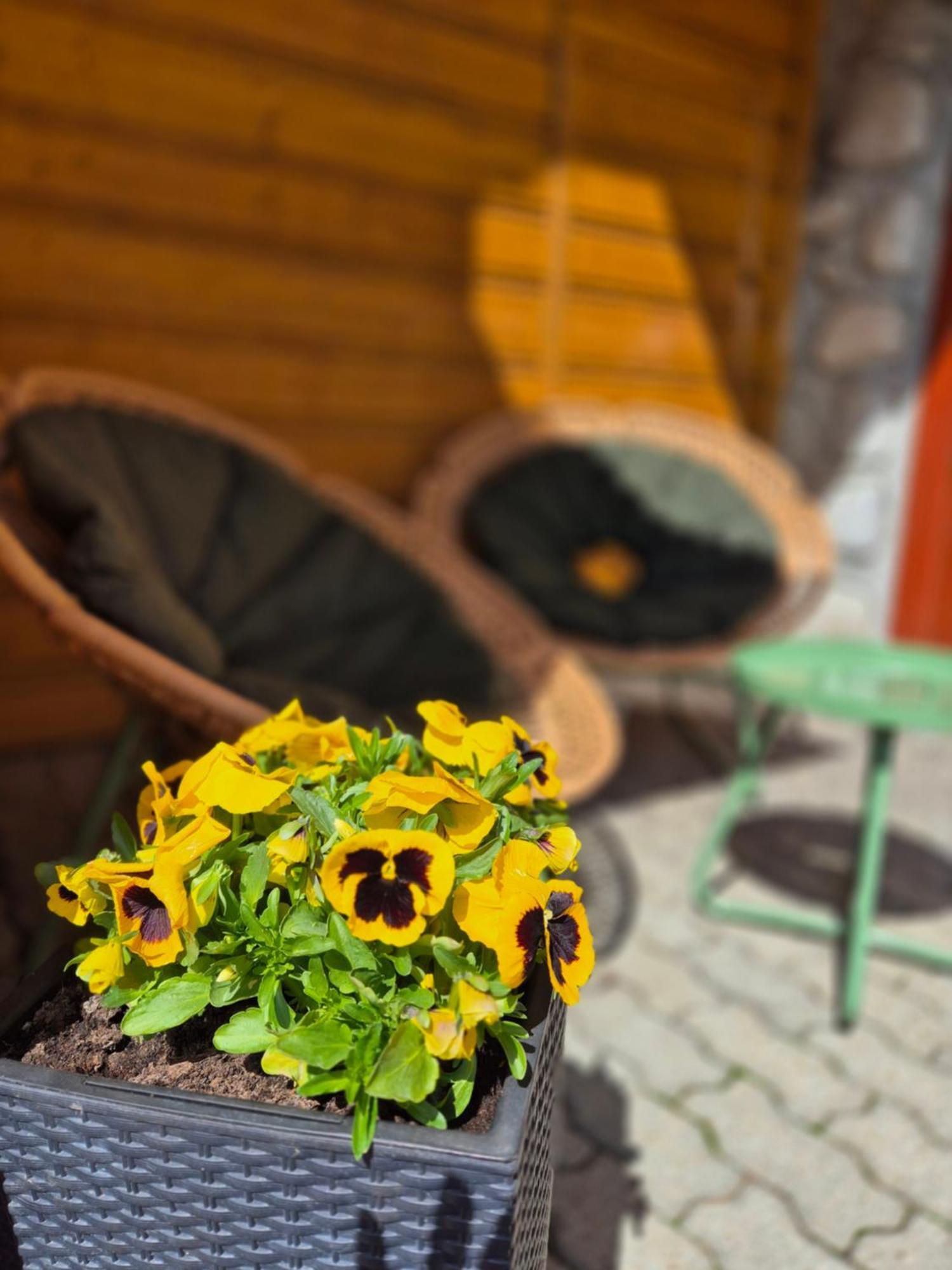 U Parow Sauna & Jacuzzi Bialka Tatrzanska Luaran gambar